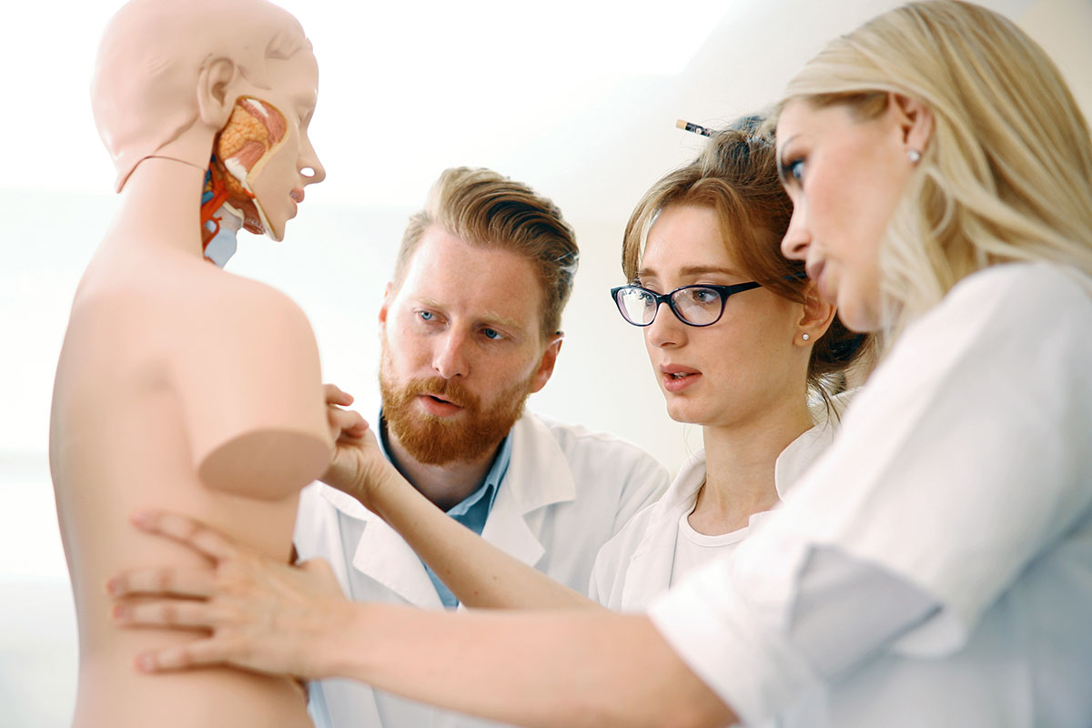 feature-placeholder-dummy-students A group researching an anatomical model of a person