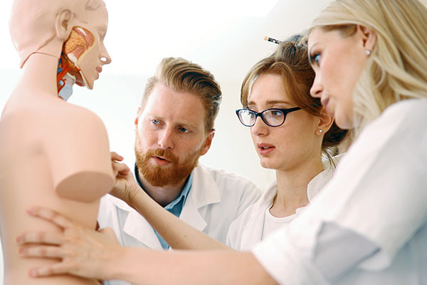 feature-students-dummy A group researching an anatomical model of a person