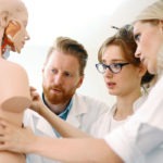 A group researching an anatomical model of a person